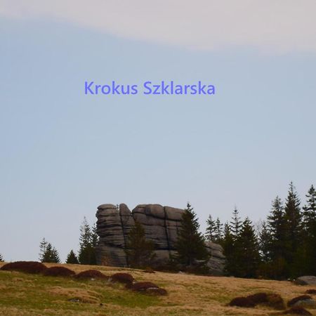 שצ'קלארסקה פוראובה Apartament Krokus Szklarska מראה חיצוני תמונה