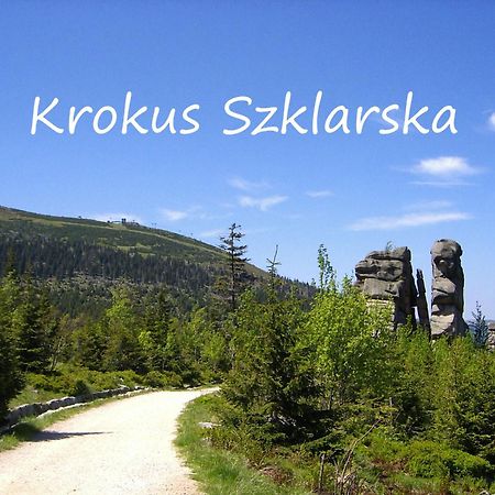 שצ'קלארסקה פוראובה Apartament Krokus Szklarska מראה חיצוני תמונה