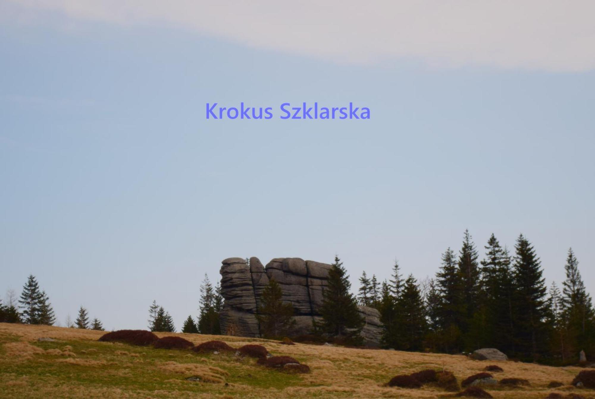 שצ'קלארסקה פוראובה Apartament Krokus Szklarska מראה חיצוני תמונה